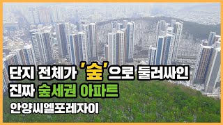 🔔최초공개🔔 '찐' 숲세권 아파트! 안양의 첫 자이 브랜드 대단지, 안양씨엘포레자이ㅣ아파트 언박싱