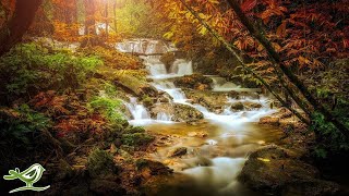 Relaxing Fantasy Music • Calm Harp Music for Sleep and Stress Relief (Forest Whisper)