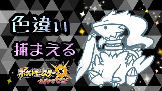 乱数調整を駆使して色違い図鑑を埋める！【ポケモン】2019/05/03