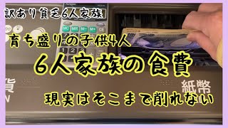 【訳あり貧乏家族】雑誌やネットで見る理想の食費は我が家には非現実的 食べる事は心の栄養補給 無理せず節約