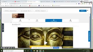 StudySync Basics