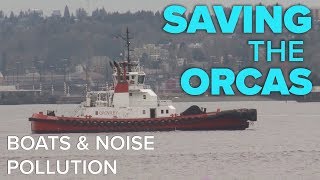 Saving the Orcas: Boats & Noise Pollution