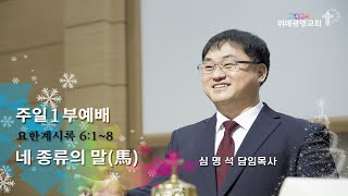 20241208 주일1부예배. 네 종류의 말. 요한계시록 6장 1~8절. 위례광명교회 심명석 담임목사