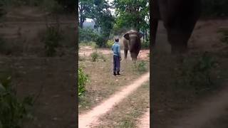 ଜାଣି ମୁଁ ପାରୁନି 🤔🐘#shortsvideo #vairal 😲