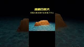 百慕大三角海底到底有什么未知的秘密，海水抽干后发现了哪些惊人的秘密#未解之謎 #探索发现 #shorts