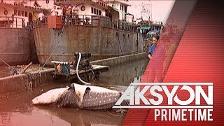 Butanding, natagpuang patay sa Navotas fish port