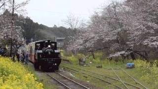 4/2 小湊鉄道 月崎駅での 養老渓谷駅行き 里山トロッコ3号