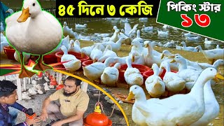 ৪৫ দিনে ৩ কেজি | পিকিং স্টার ১৩ হাঁসের খামার | Duck farming | Khamar Bangla 24.