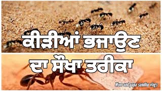 ਕੀੜੀਆਂ ਭਜਾਉਣ ਦਾ ਸੋਖਾ ਤਰੀਕਾ #viral #video #vlog #shortvideo #punjabi #ants #suger #mom #youtube