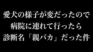 愛犬の様子が変だったので病院に行ったら衝撃の診断名だった。