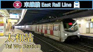 🚉 Trains at Tai Wo Station - MTR East Rail Line in Hong Kong (MLR, sp1900, KTT, SS8 loco)