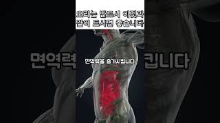 오리고기와 같이 먹으면 매우 좋은 음식