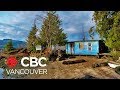 Free tours of Indigenous art at historic Blue Cabin | Our Vancouver