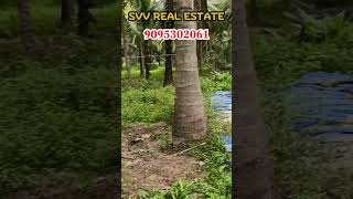 #175 ) 4.10  Acre coconut farm for sale #pollachi #coimbatore #tamilnadu #land