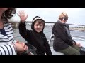 On the Go: 2013 Harbor Tours