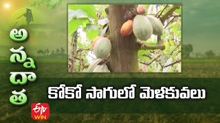 కోకో సాగులో మెళకువలు | Tips for raising cocoa | ETV