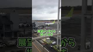 熊本空港リニューアルオープン行ってきました！#Shorts