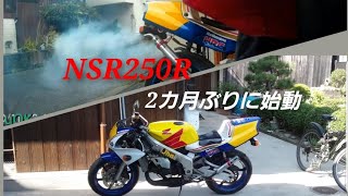 NSR250R　２ヶ月ぶりにエンジン掛けてみた