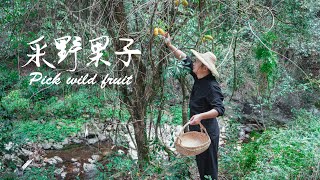 Go to deep mountain pick wild fruit, The name calls september yellow 去深山里采摘罕见的野果子九月黄。味道非常的奇怪，颜色还很诱人！