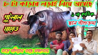 পুটুলাল মাহাত নিয়ে আসছেন 5G ইস্পিরীডে ৮টি কাড়ার লড়াই#বাঁগুড়দা কাড়া লড়াই#RR purulia#