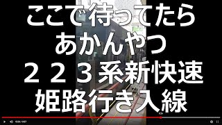 ここで待ってたら、あかんやつ　２２３系新快速姫路行き入線　　2022年6月3日　【撮り鉄#565】