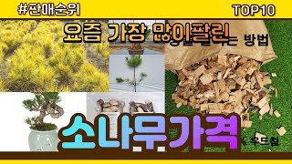 소나무가격 추천 판매순위 Top10 || 가격 평점 후기 비교