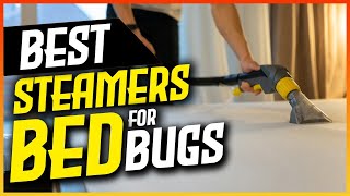 5 Best Steamers for Bed Bugs - 2024 COMPLETE GUIDE