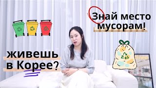 Правила выброса мусора в Корее! Иначе большой штраф!