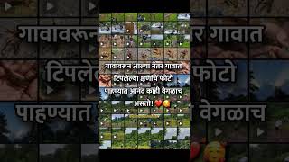 🫶🌾गावावरून आल्यावर गावात टिपलेल्या क्षणाचे फोटो पाहण्याचा आनंद काही वेगळाच असतो❤️#shorts #kokan