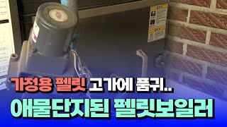 [자막뉴스] 가정용 펠릿 고가에 품귀...애물단지된 펠릿보일러