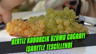 Bertiz Kabarcık Üzümü De Coğrafi İşaretle Tescillendi