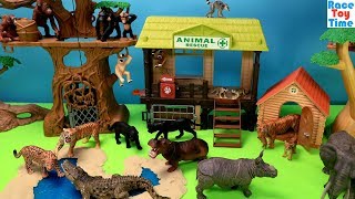 Wildlife Jungle Animals Adventure - Fun Animal Toys For Kids Video