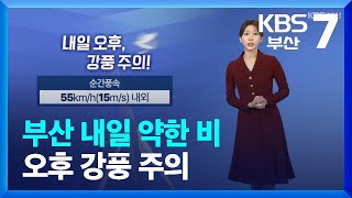 [날씨] 부산 내일 약한 비…오후 강풍 주의 / KBS  2024.01.31.