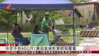 光復箭筍產量銳減 公所提報申請天災救助 2019-04-11 IPCF-TITV 原文會原視新聞