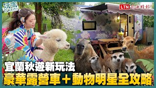 開箱宜蘭最新「豪華露營車」！睡進落羽松林、動物明星陪你玩