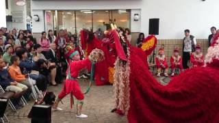 ちびっ子妙見祭 中島町獅子舞保存会 子供獅子 後編