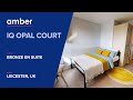 Room Type Bronze En Suite | iQ Opal Court | Student Accommodation in  Leicester | UK | amber