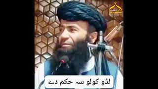 لډو کولو څه حکم دی | الشیخ سردار ولی رحمه الله | Lado Kawalo Sh Hokm Dh | Sheikh SArdar wali