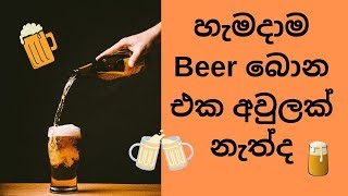 හැමදාම Beer බොන එක අවුලක් නැත්ද - Effects of daily beer drinking