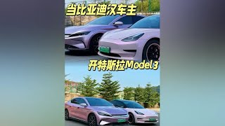 比亚迪汉车主第一次开我的特斯拉model3！不吹不踩