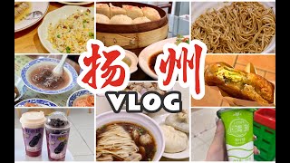 扬州也是江浙沪碳水胜地！2天12家！特色小食之旅～真美味！人均200狂吃两天！扬州逛吃vlog