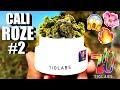 This CALIFORNIA ROZE #2 gave @2muchmv OG VIBES! | 710 Labs California Roze #2 Review!