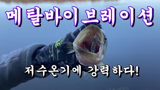 배스낚시\