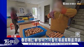 春節嘸訂單!黎明方舟畜牧場逾萬顆蛋滯銷｜TVBS新聞 @TVBSNEWS01