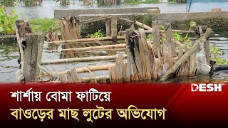 শার্শায় বোমা ফাটিয়ে বাওড়ের মাছ লুটের অভিযোগ | Jashore | News | Desh TV