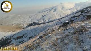 Karda keklik avı, tavşan avı, rabbit hunting and partridge hunting iteh snow. #keklik #partridge