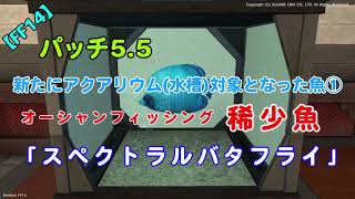 【FF14】パッチ5.5 アクアリウム対象『スペクトラルバタフライ』