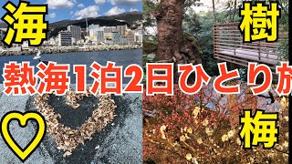 1泊2日熱海旅行 おすすめコース 来宮神社 熱海梅園 遊覧船 サンレモ 朝から楽しむ vlog 熱海観光