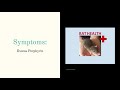 the most common illness in rats respiratory infections