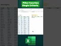 You Won't Believe How EASY Excel Filter Function Is